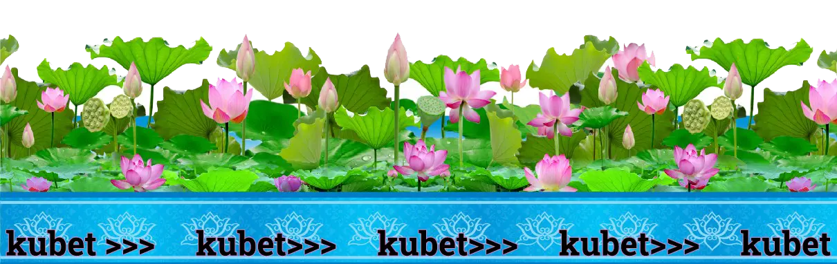 ảnh chân nền hoa sen trang chủ KUBET